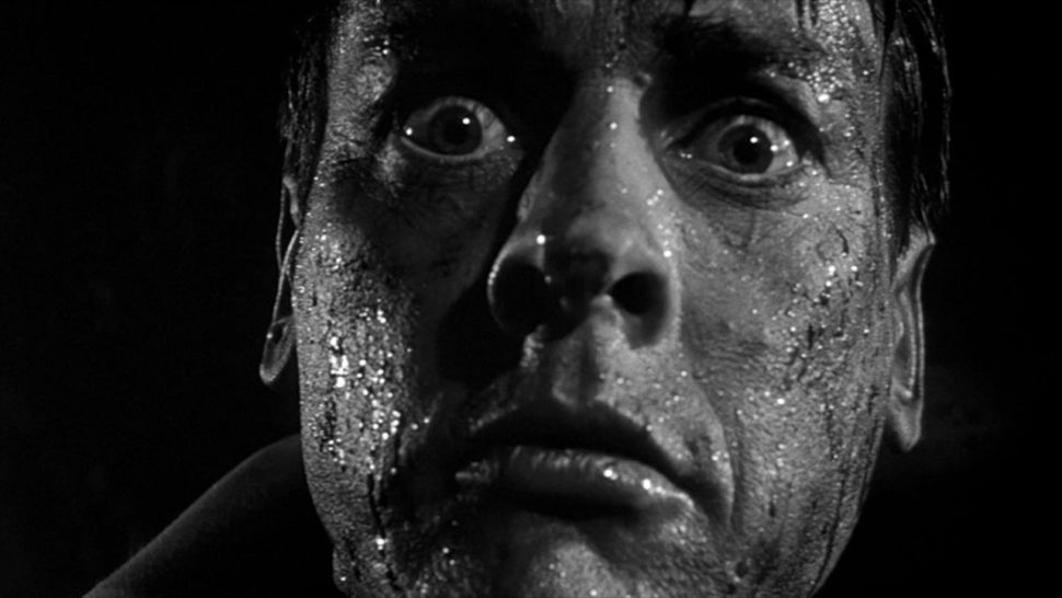 INVASION OF THE BODY SNATCHERS (1956)